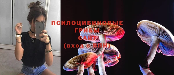 стафф Баксан