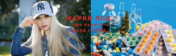 стафф Баксан